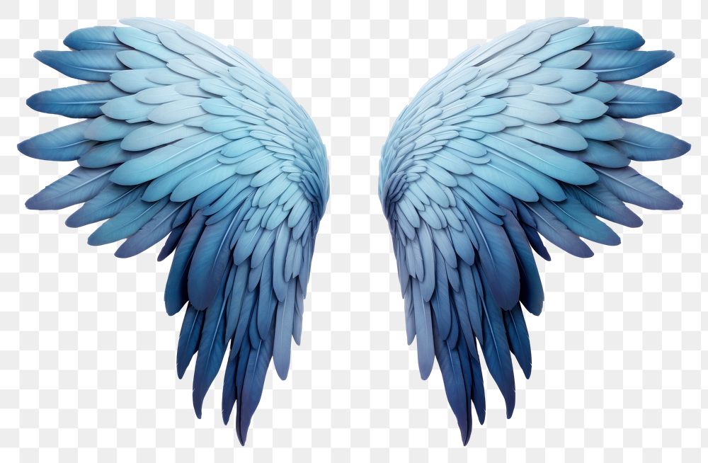 PNG Angel archangel feather flying. | Premium PNG - rawpixel