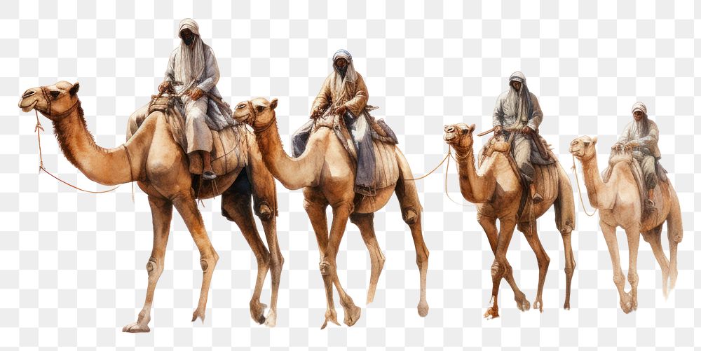 PNG Mammal animal camel livestock. AI generated Image by rawpixel.