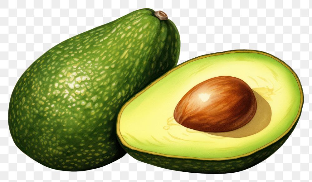 PNG Avocado fruit plant food, digital paint illustration.