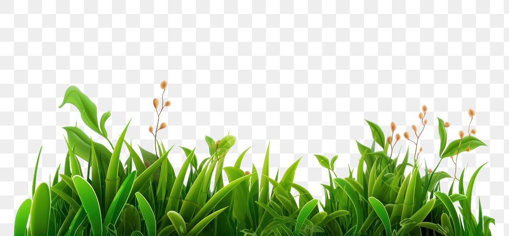 PNG Flower grass outdoors blossom. AI generated Image by rawpixel.