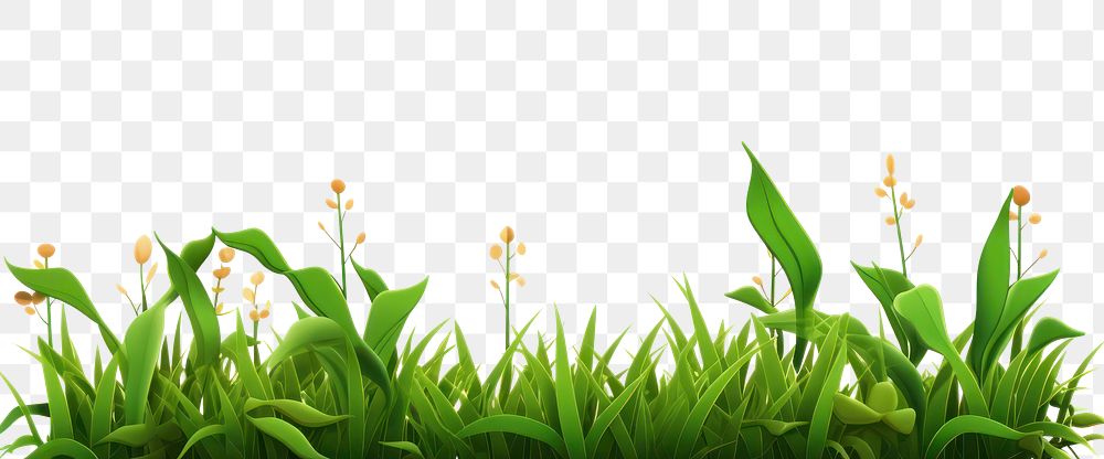 PNG Flower grass outdoors blossom. AI generated Image by rawpixel.