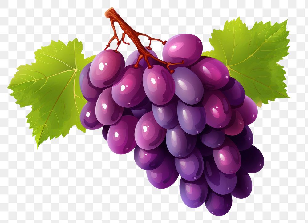 PNG Grapes fruit plant food, digital paint illustration. AI generated image