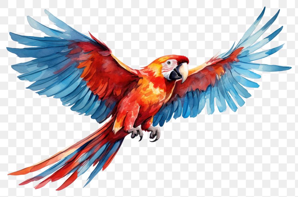 PNG Animal parrot macaw bird. AI generated Image by rawpixel.