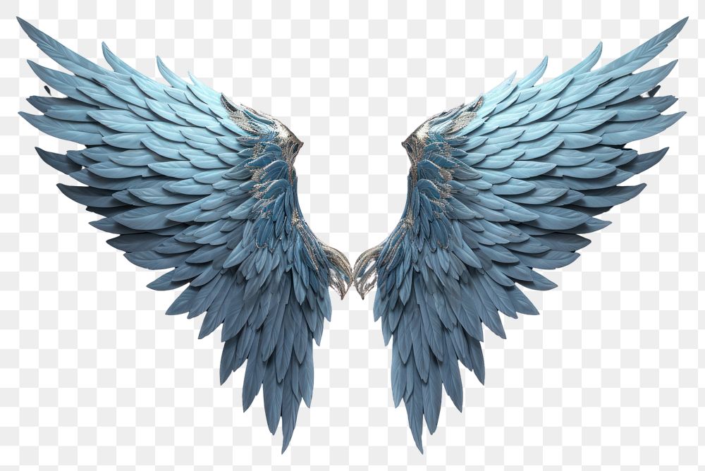 PNG Angel wing bird archangel. 