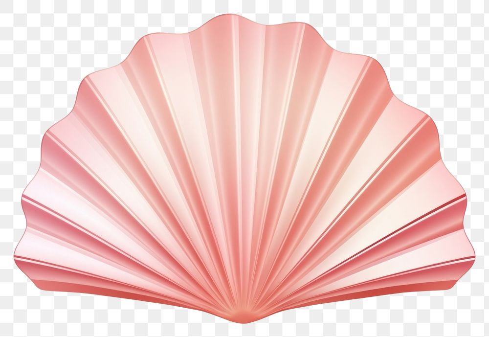 PNG Shell pink white background invertebrate. AI generated Image by rawpixel.
