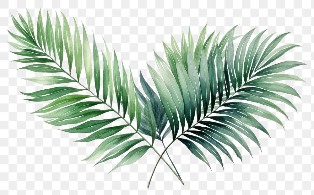 PNG Backgrounds plant leaf tree. | Free PNG - rawpixel