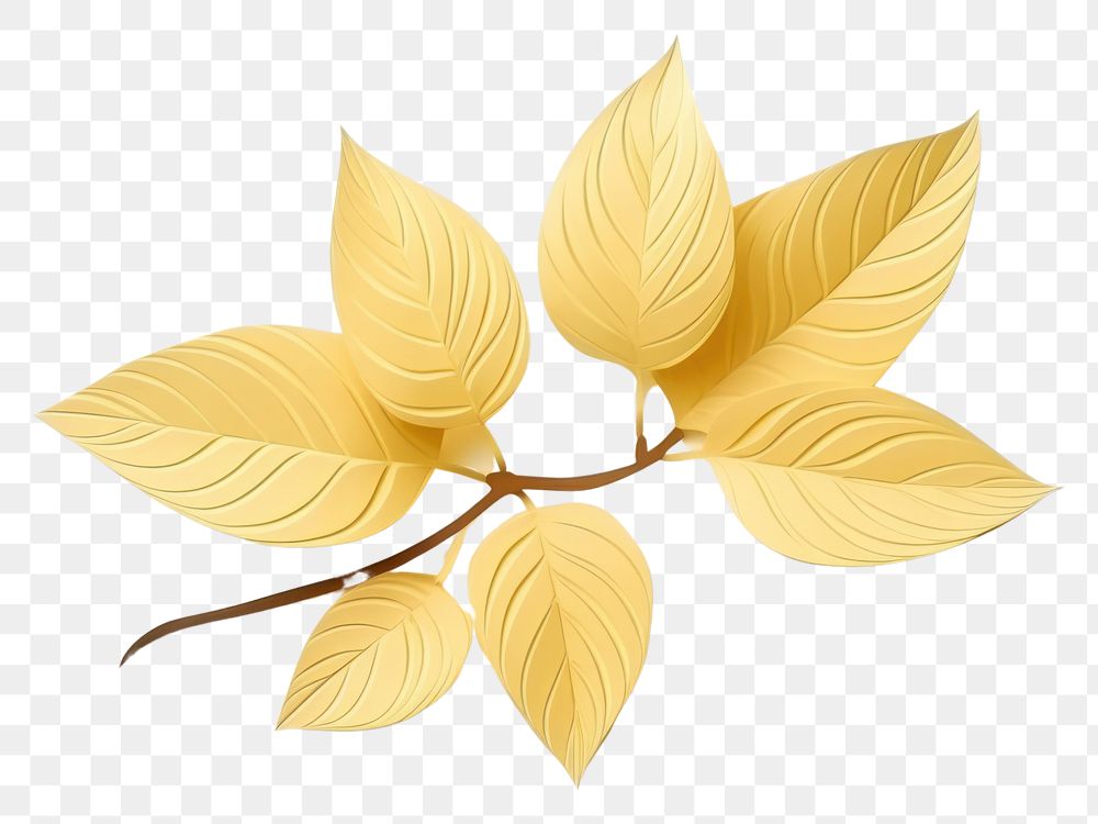 PNG Plant leaf freshness fragility. AI generated Image by rawpixel.