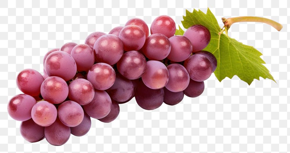 PNG Grapes fruit plant food. AI generated Image by rawpixel.