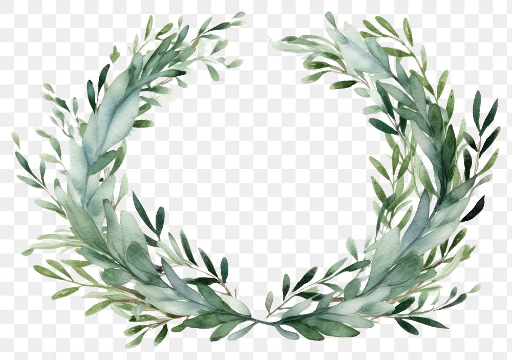 PNG Wreath plant leaf white background. AI generated Image by rawpixel.