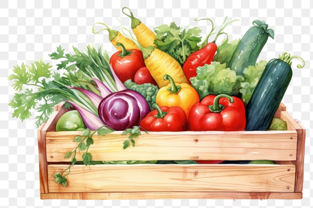 PNG Box vegetable food ingredient