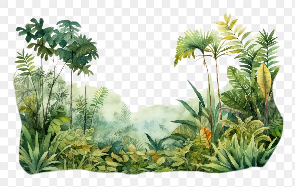 PNG Vegetation outdoors nature forest. AI generated Image by rawpixel.