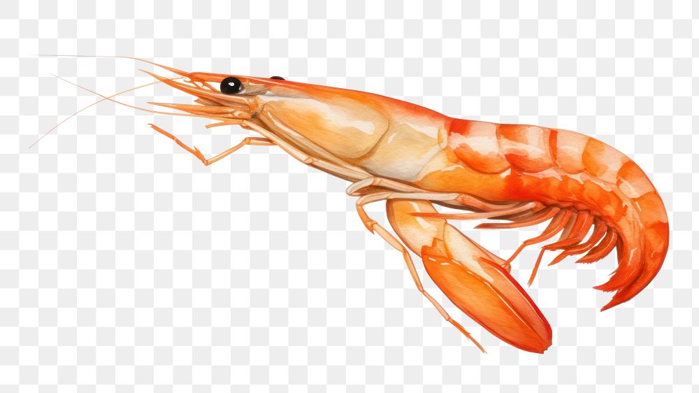 Seafood animal shrimp invertebrate. AI generated Image by rawpixel.