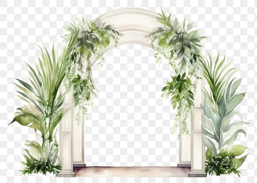 PNG Arch architecture plant floristry