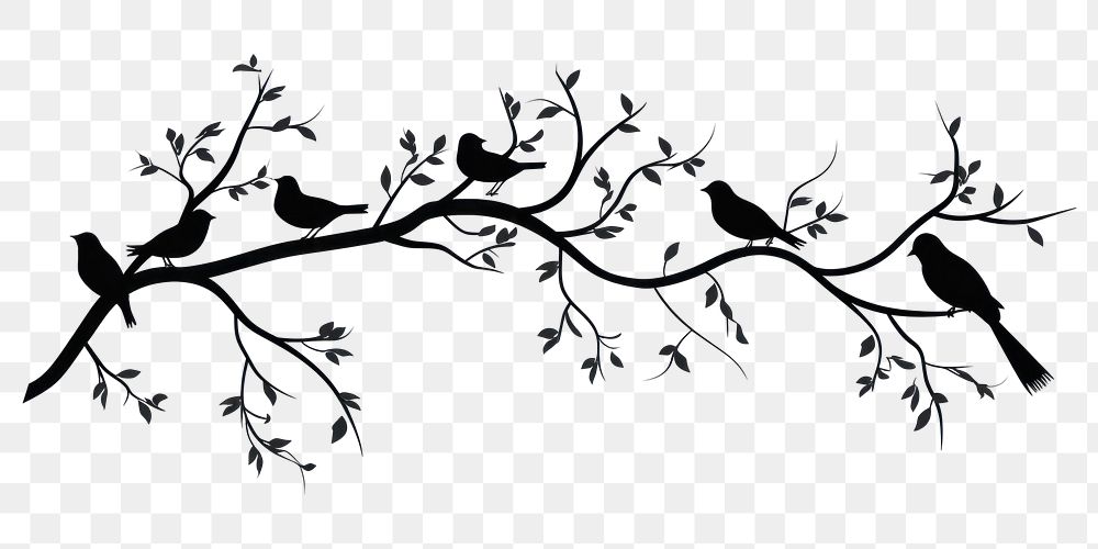 PNG Silhouette bird creativity monochrome. 