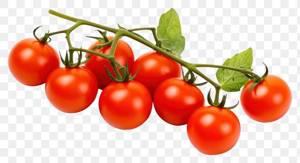 PNG Vegetable tomato fruit plant. AI generated Image by rawpixel.