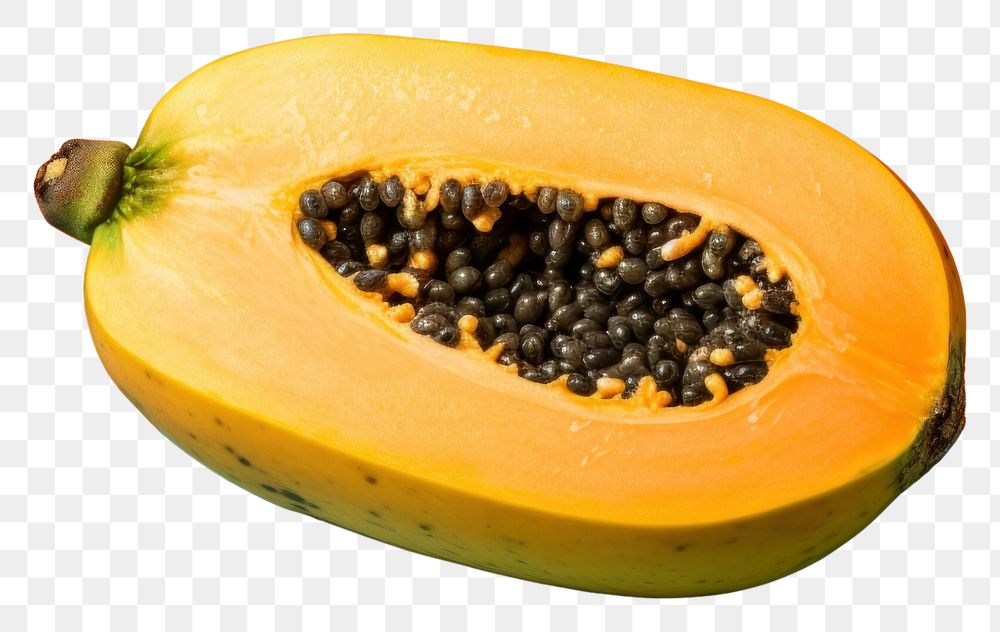 PNG Fruit plant food cantaloupe. AI generated Image by rawpixel.