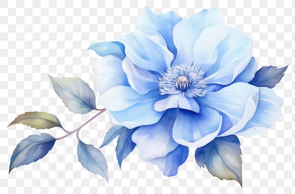 PNG Flower plant rose blue. AI generated Image by rawpixel.