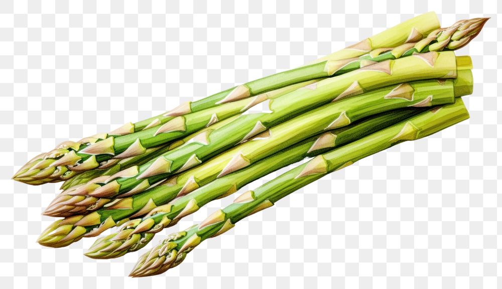 PNG Asparagus vegetable plant food. 