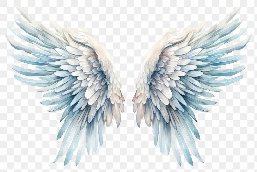 PNG Angel bird creativity archangel