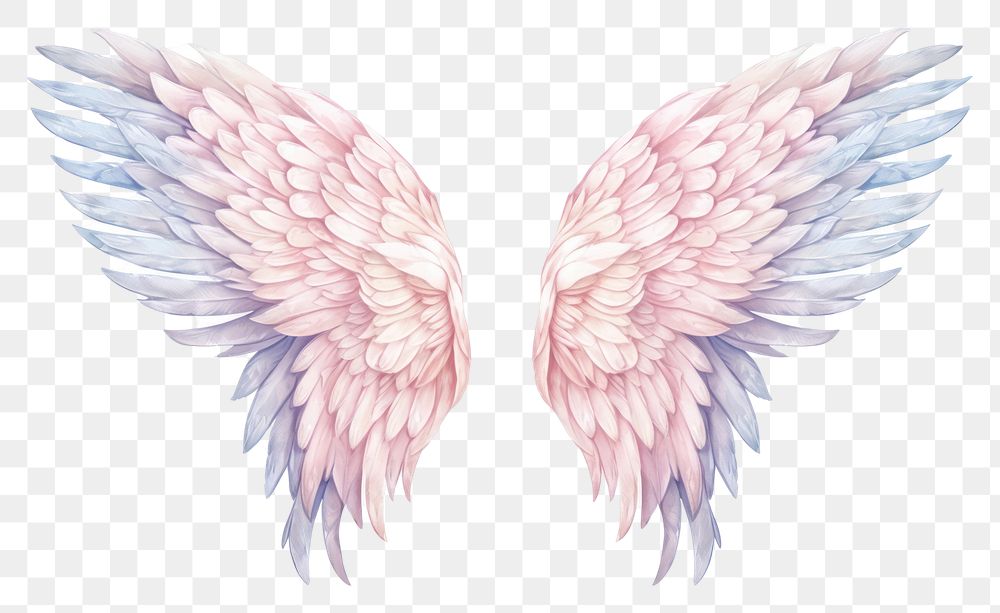 PNG Angel illustrated creativity archangel. | Premium PNG - rawpixel
