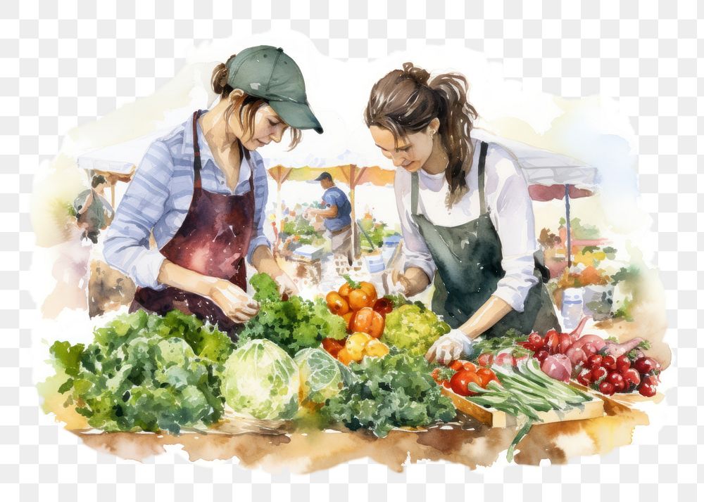 PNG Hand-drawn, watercolor illustration of close up women buy vegetable at farmers market, off-white background, 8K --ar 3:2
