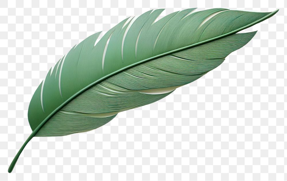 PNG Plant leaf lightweight weaponry. AI generated Image by rawpixel.