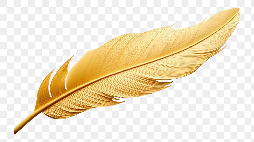 PNG Feather gold leaf white background. AI generated Image by rawpixel.