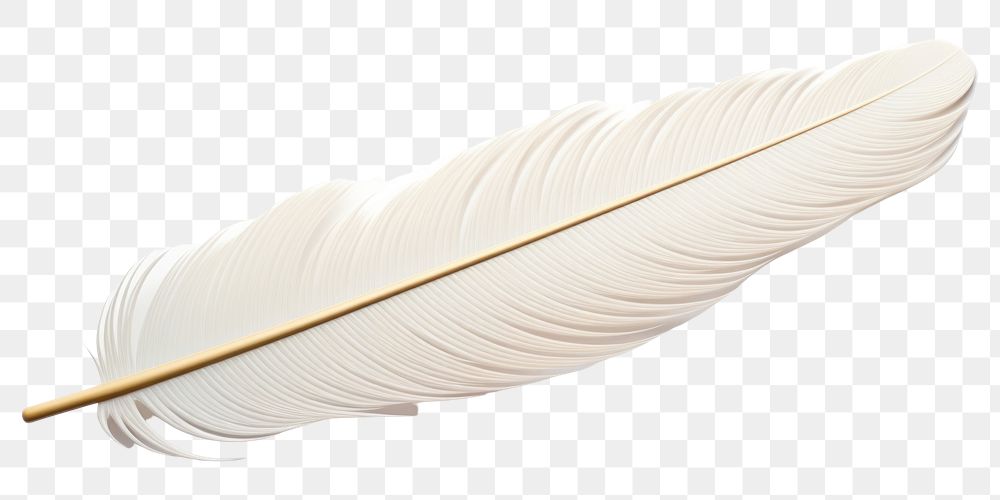 PNG Lightweight fragility softness feather. AI generated Image by rawpixel.