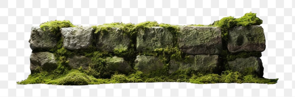 PNG Moss nature plant rock. AI generated Image by rawpixel.