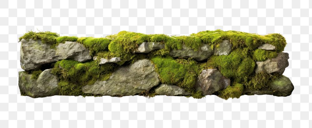 PNG Moss wall plant rock. AI generated Image by rawpixel.