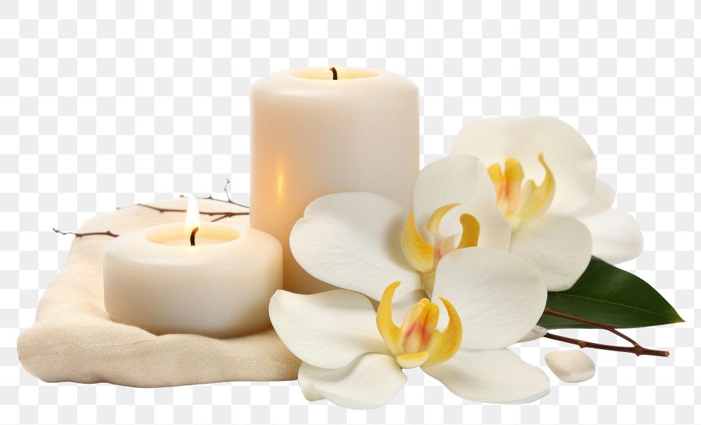 PNG Flower candle plant spirituality. AI generated Image by rawpixel.