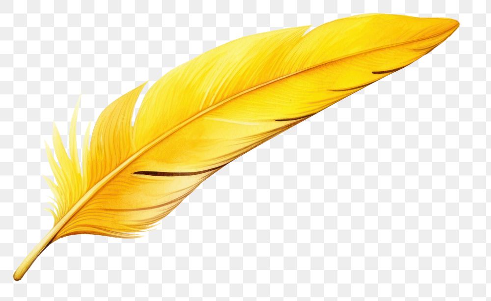 PNG Feather yellow leaf lightweight. AI generated Image by rawpixel.