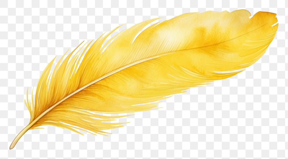 PNG Feather yellow leaf lightweight. AI generated Image by rawpixel.