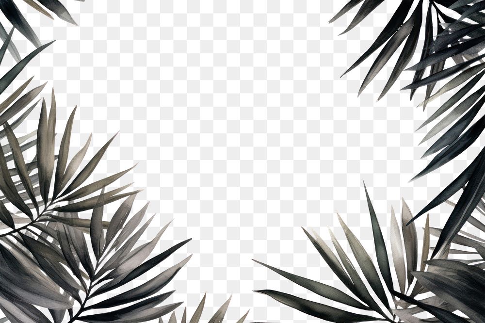 PNG Backgrounds sunlight outdoors nature. AI generated Image by rawpixel.