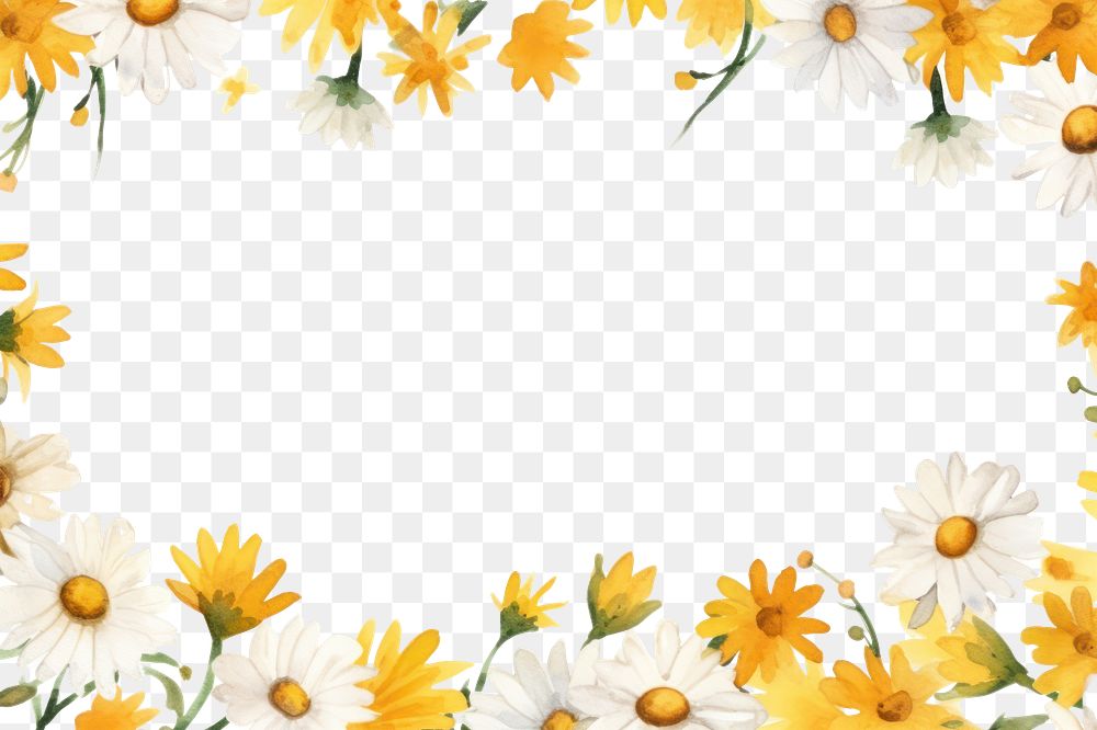 PNG Flower daisy backgrounds sunflower. 