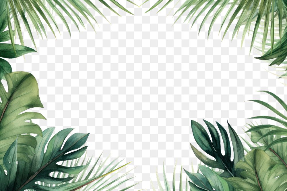 PNG Backgrounds outdoors nature plant