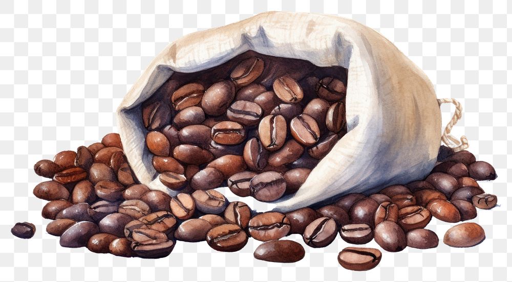 PNG Coffee coffee beans freshness abundance. 