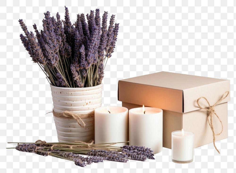 PNG Lavender candle box flower. AI generated Image by rawpixel.