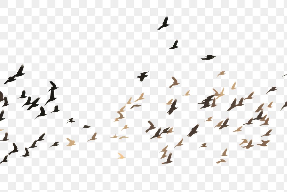 Wildlife animal flying flock. AI generated Image by rawpixel.