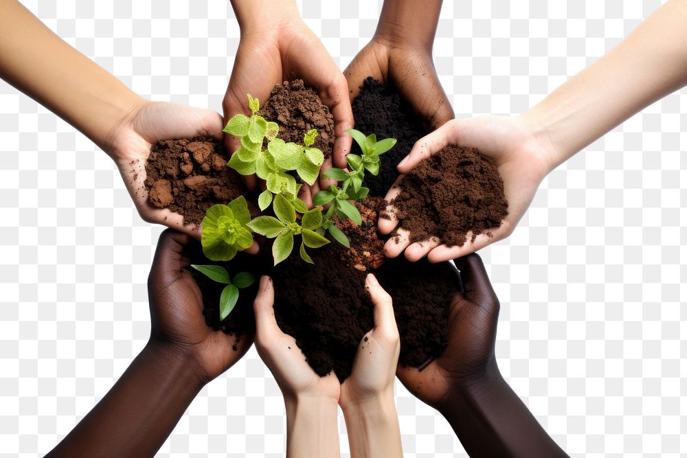 PNG Gardening planting hand soil. 