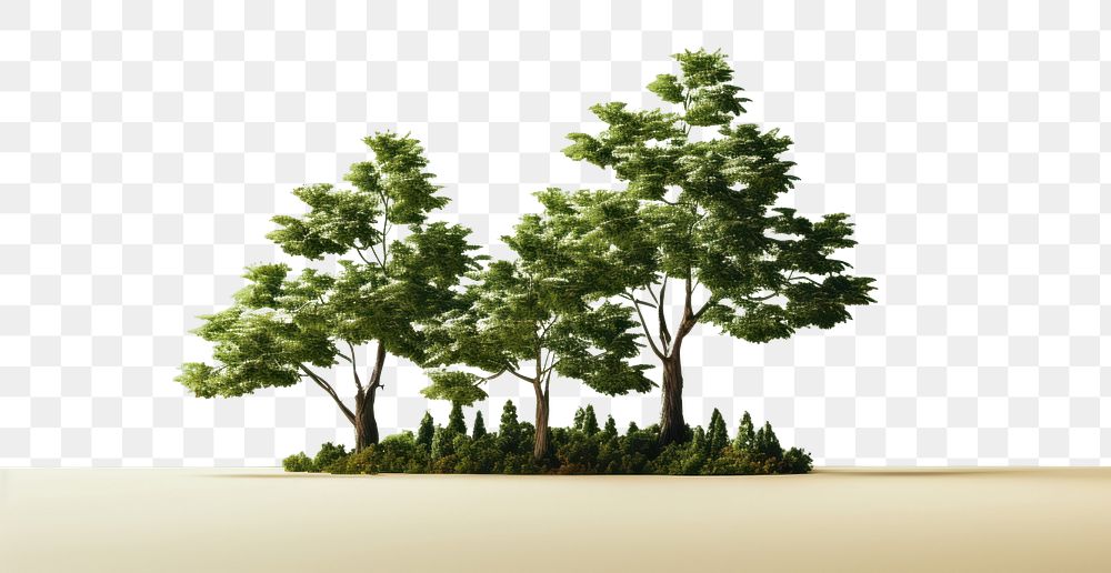 PNG Outdoors nature plant tree. AI generated Image by rawpixel.