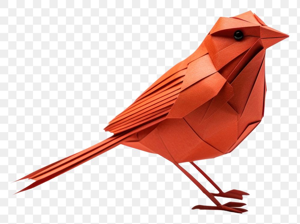 PNG Animal bird creativity appliance. 