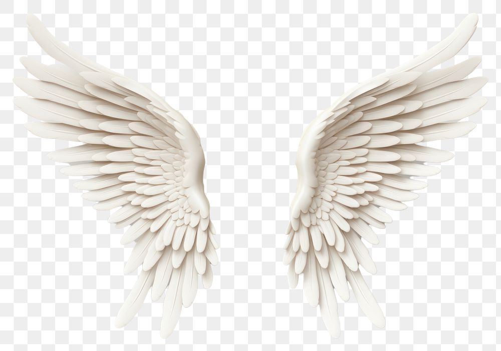 PNG Angel white wing art. 