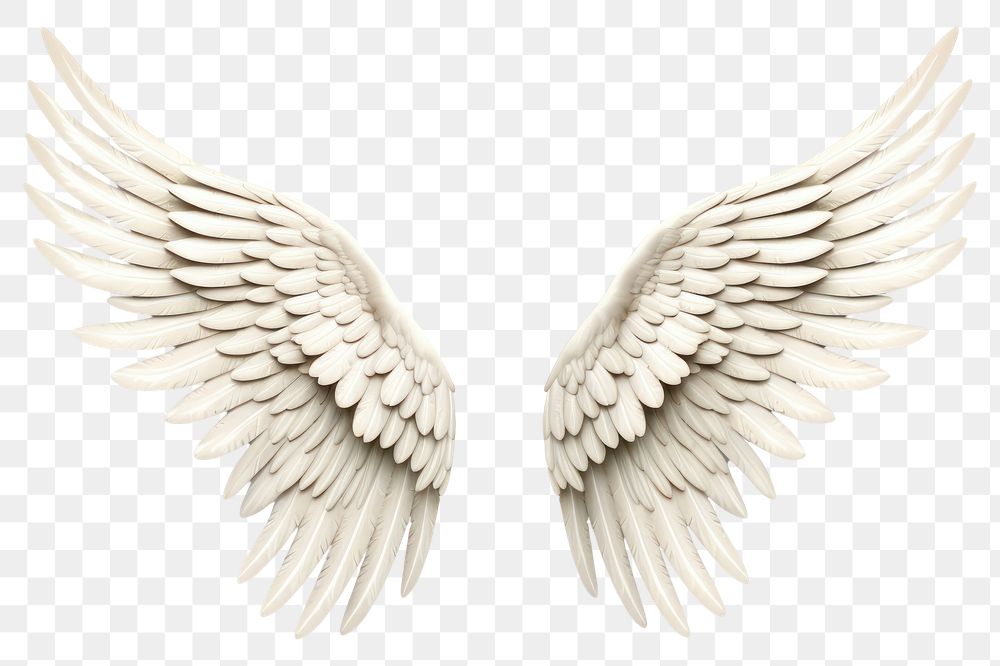 PNG Angel white bird wing