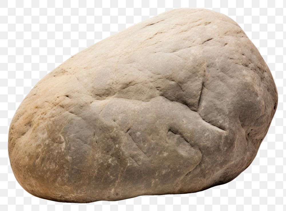 PNG Rock paleontology ciabatta ancient. AI generated Image by rawpixel.