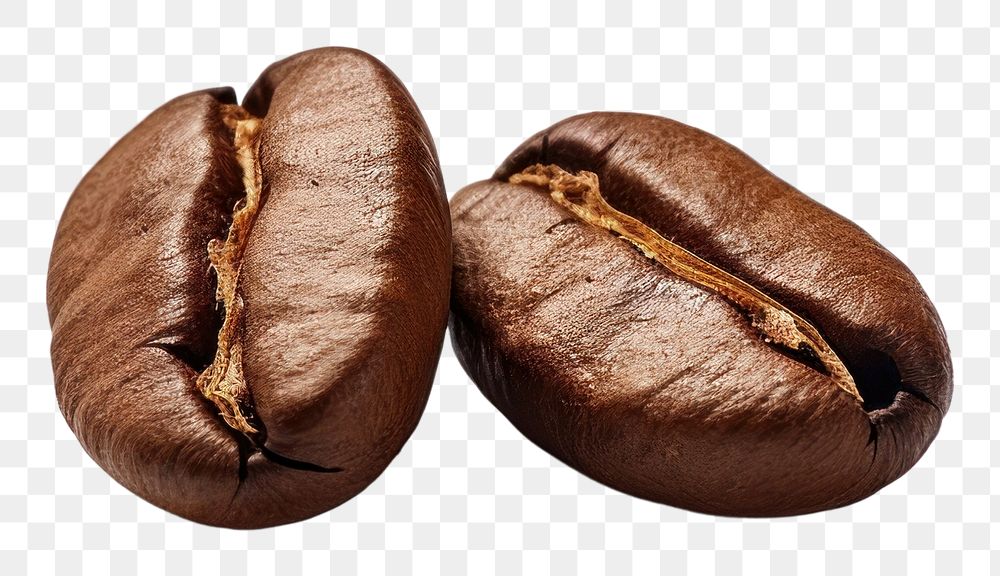 PNG Coffee coffee beans freshness transparent background