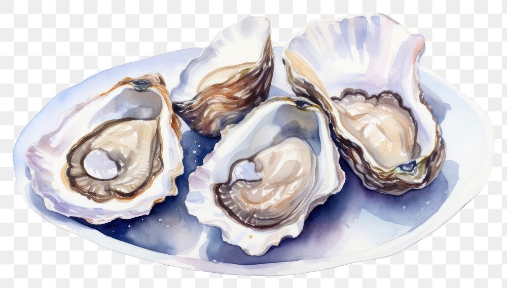 PNG Oyster seashell seafood plate. AI generated Image by rawpixel.