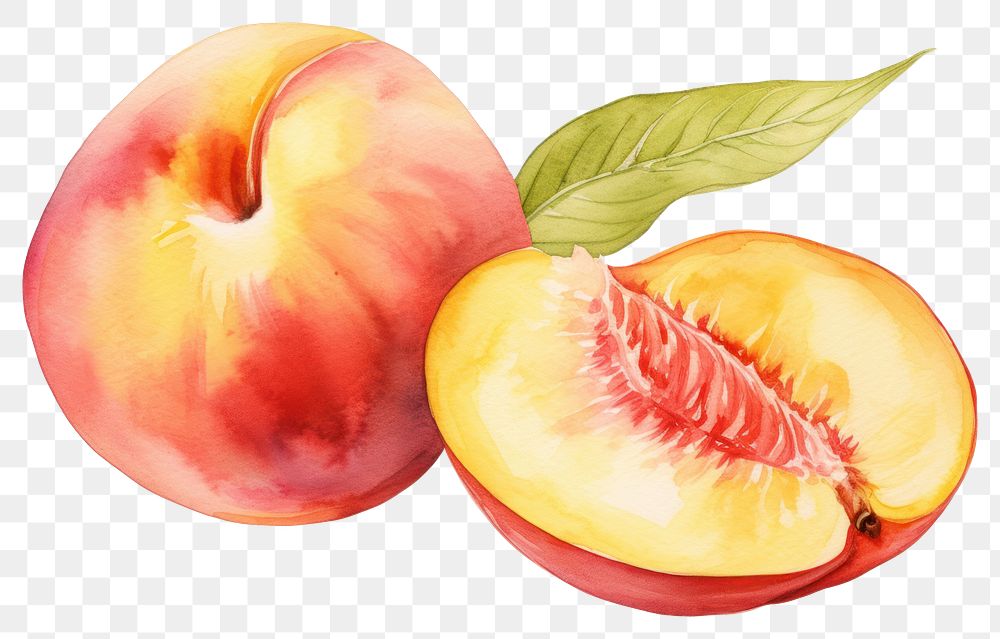 PNG Peach fruit plant food. AI generated Image by rawpixel.