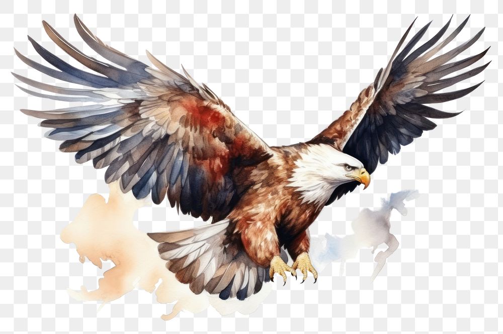 PNG Flying cartoon animal eagle. AI generated Image by rawpixel.