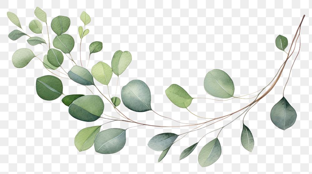 PNG Pattern plant leaf graphics